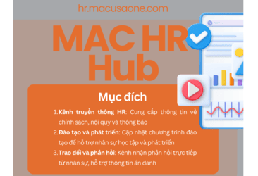 Hướng Dẫn Đăng Nhập & Trải Nghiệm HR Website